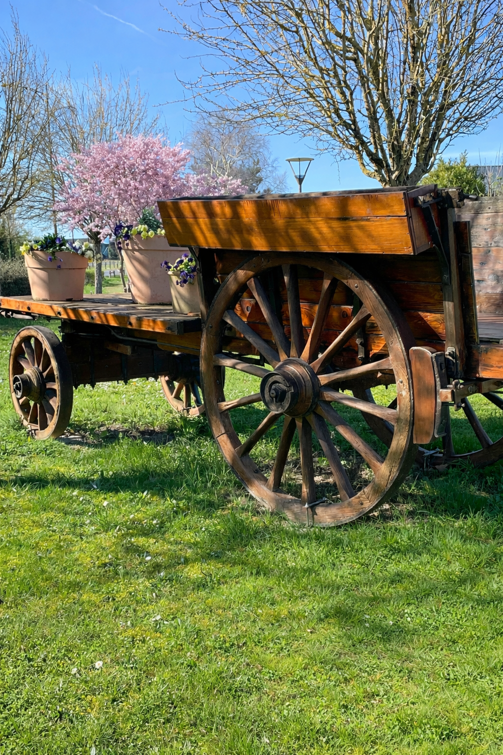 Charrue fleurie de Witry-lès-Reims